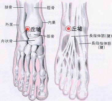 邱墟穴|醫砭 » 經穴庫 » 丘墟